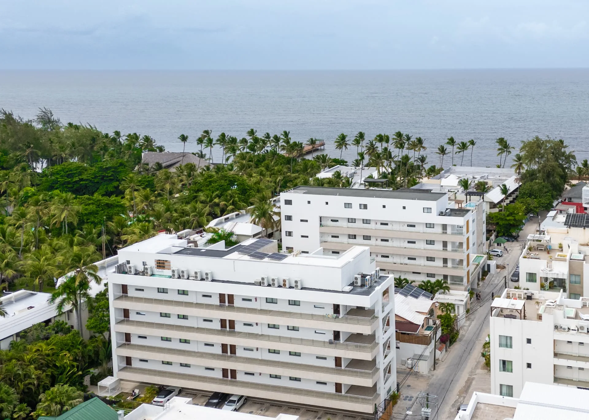 Aerial view of the Beach Garden buildings surrounded by palms with the ocean and pier beyond